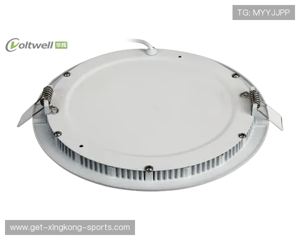 万代DX强龙者系列复刻版全面解析与收藏价值深度盘点指南